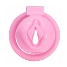 Cock Lock - Chastity cage Sissy S női erényöv
