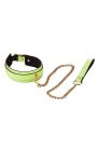 Dream Toys Radiant Collar And Leash Green nyakörv és póráz