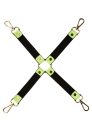 Dream Toys Radiant Hog Tie  Green