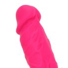 Ns Novelties Small Silicone Colours Dildo in Pink  dildo    